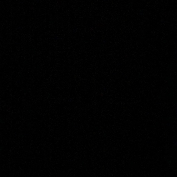 Meet your Posher, Landon - Picture 1 of 1